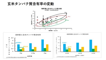 施肥とタンパクとの関係.jpg