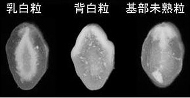 コピー ~ 09ine10_image04.jpg