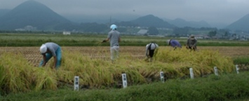 コピー ～ DSC_0053.JPG