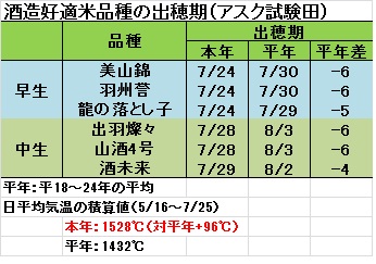 出穂期.jpg