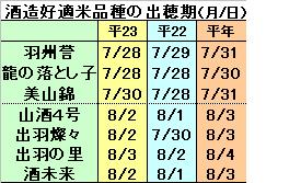 出穂.JPG
