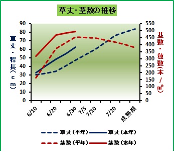 成育図(6月30日）.jpg