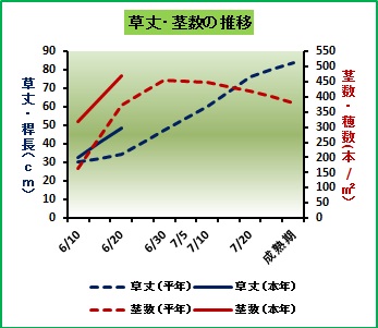 成育図.jpg