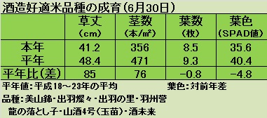 成育（６月30日）.jpg