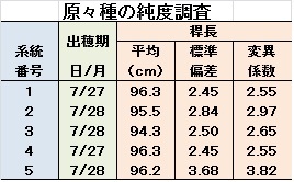 種子.jpg