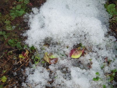 DSCN1160.JPG