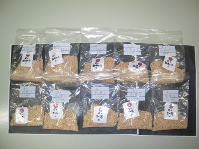 DSCN1168.JPG
