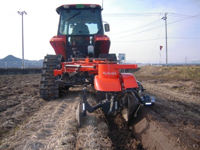 DSCN1184.JPG