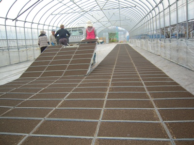 DSCN1286.JPG