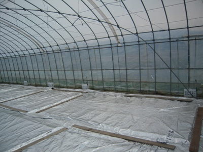 DSCN1292.JPG