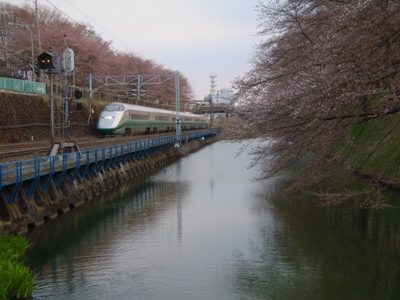 DSCN1294.JPG