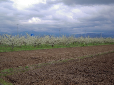 DSCN1320.JPG