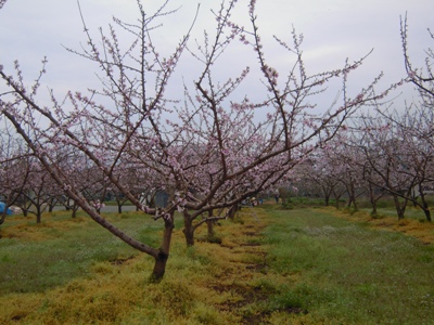 DSCN1331.JPG