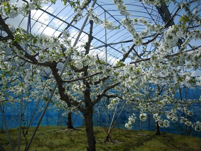 DSCN1333.JPG