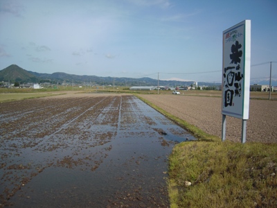DSCN1386.JPG