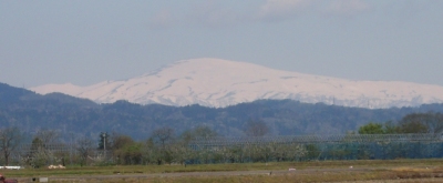 DSCN1388.JPG