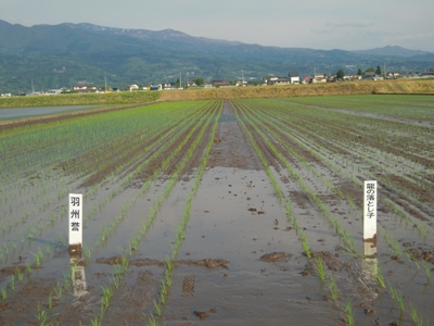 DSCN1506.JPG