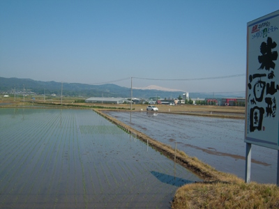 DSCN1514.JPG