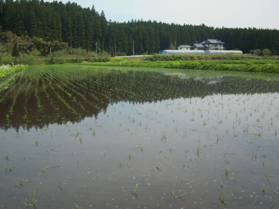 DSCN1528.JPG