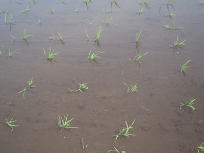DSCN1530.JPG