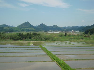 DSCN1534.JPG