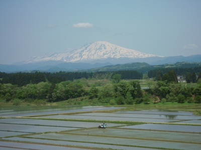 DSCN1535.JPG