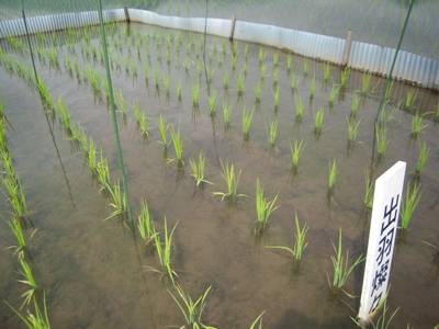 DSCN1590.JPG