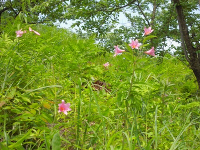 DSCN1602.JPG