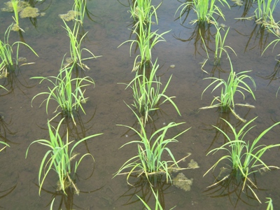 DSCN1614.JPG