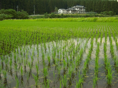 DSCN1615.JPG