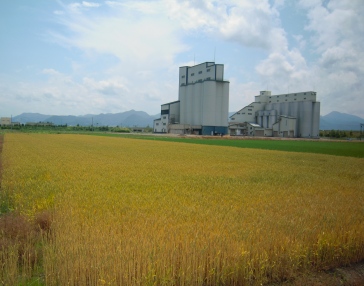 DSCN1672.JPG