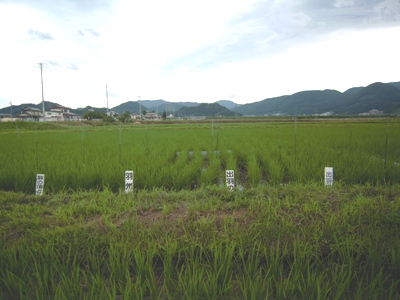 DSCN1680.JPG