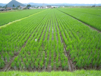 DSCN1684.JPG