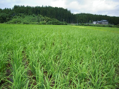 DSCN1704.JPG