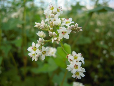 DSCN1967.JPG