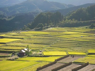 DSCN2080.JPG