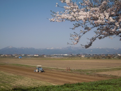 DSCN3981.JPG