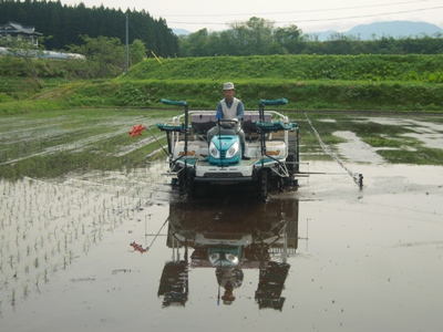 DSCN1524.JPG