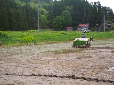 DSCN1577.JPG