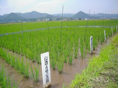 DSCN1656.JPGのサムネール画像