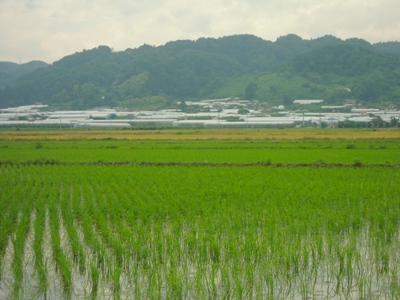 DSCN1661.JPG