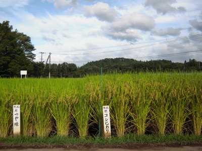 DSCN1970.JPG