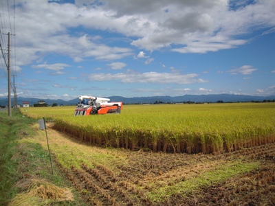 DSCN2060.JPG