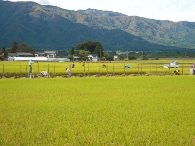 DSCN2064.JPGのサムネール画像