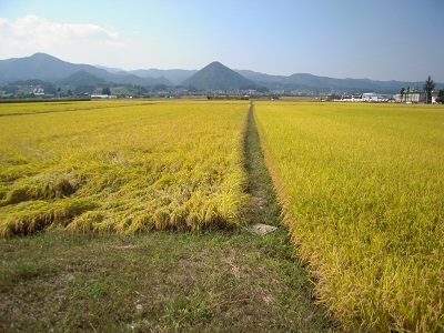DSCN2115.JPG