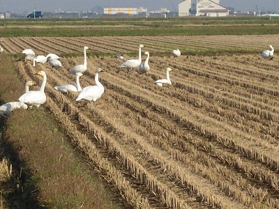 DSCN2213.JPGのサムネール画像