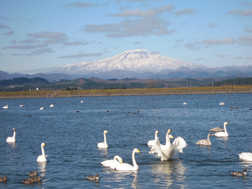 DSCN2331.JPGのサムネール画像