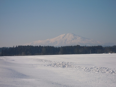 DSCN2540.JPG