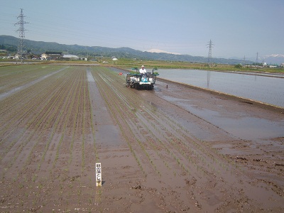 DSCN4013.JPG