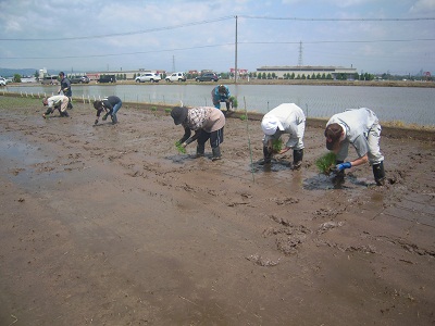DSCN4067.JPG